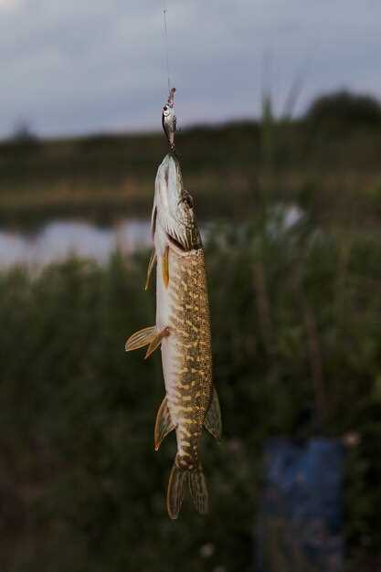 Analyse des émotions liées à l'arête de poisson