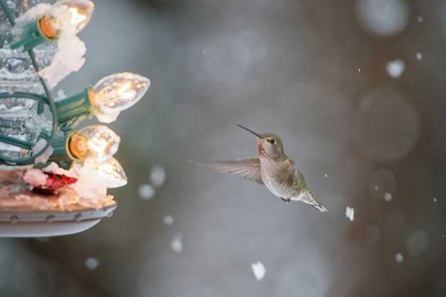 Aperçu général des symboles et significations des oiseaux dans les rêves