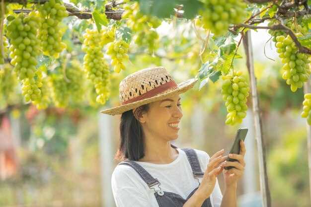 Abondance et prospérité