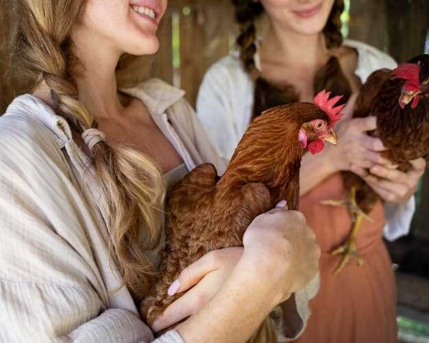 1. Abondance et prospérité :