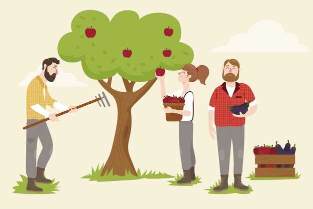 Trouver l'équilibre