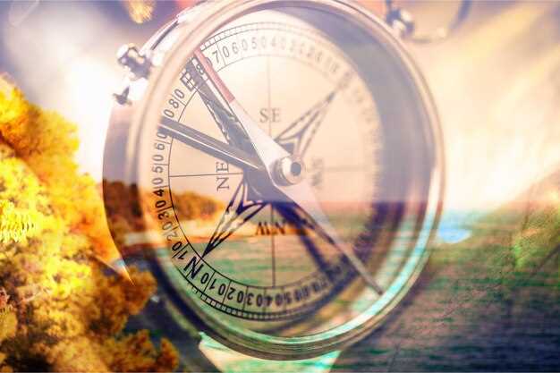 1. La machine à remonter le temps