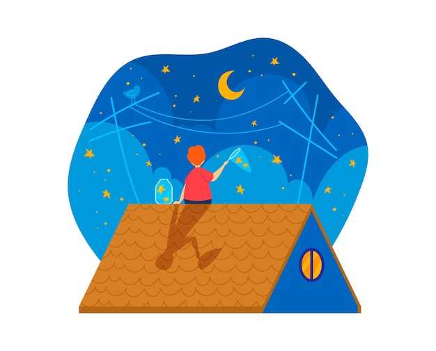 1. Préparation du terrain