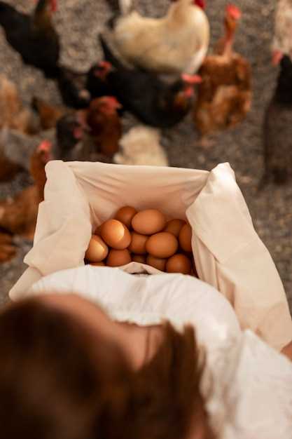 Le lien entre les rêves d'œufs de poule cassés et la fertilité