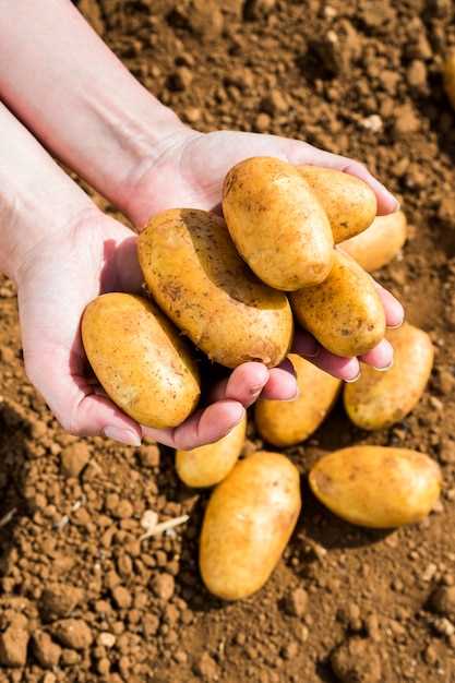 Analyse psychologique de l'action d'éplucher les pommes de terre en rêve