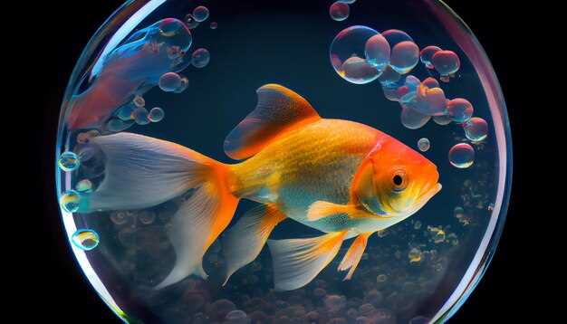 Étang à poissons transparent en rêve : signification dans la symbolique des rêves