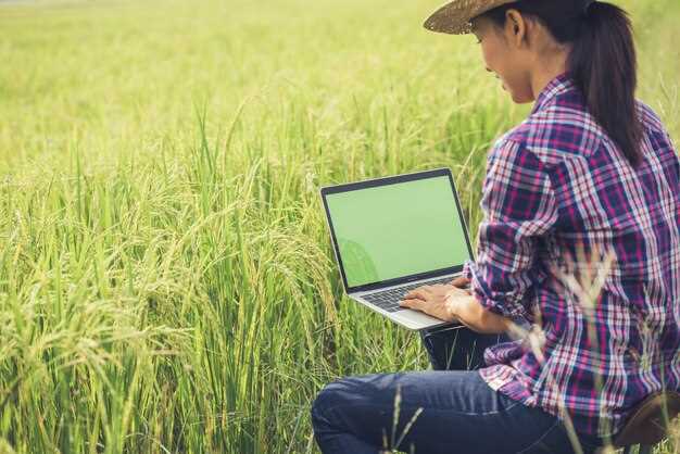 Signification de l'extension du riz en rêve