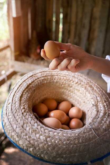 Les œufs de poule bouillis en rêve et la maternité
