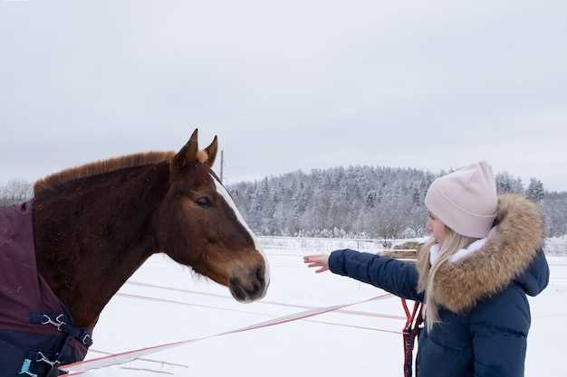 2. Expression de la force intérieure