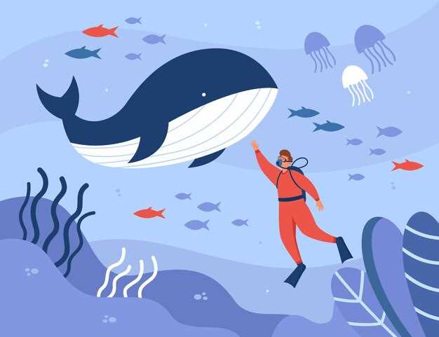 Protections et mesures pour préserver les baleines