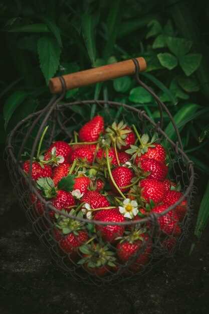 Les fraises mûres en rêve : un appel à l'épanouissement féminin