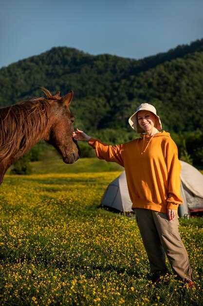 Rêver de brosser le cheval