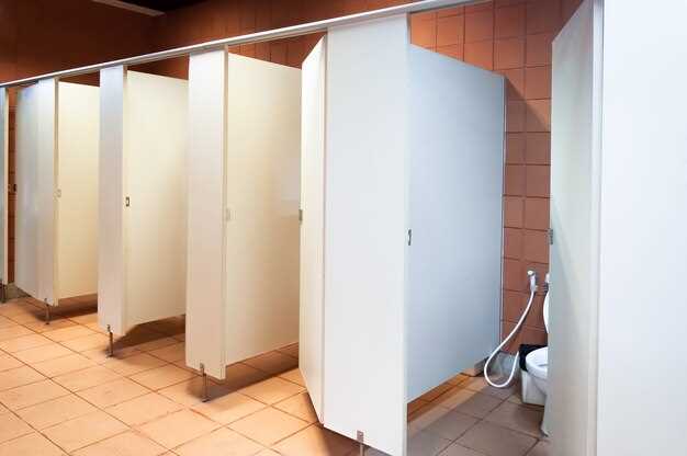 2. La cabine de toilette sale ou mal entretenue