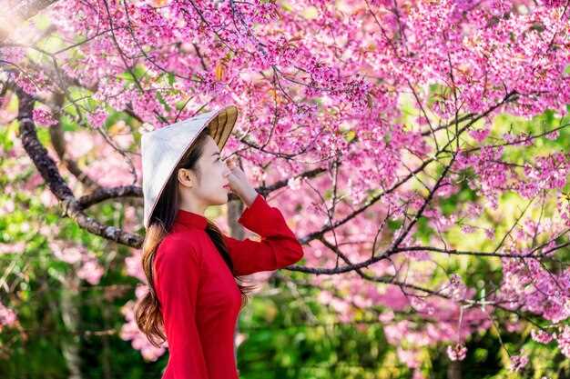Signification du cerisier en rêve dans la culture japonaise