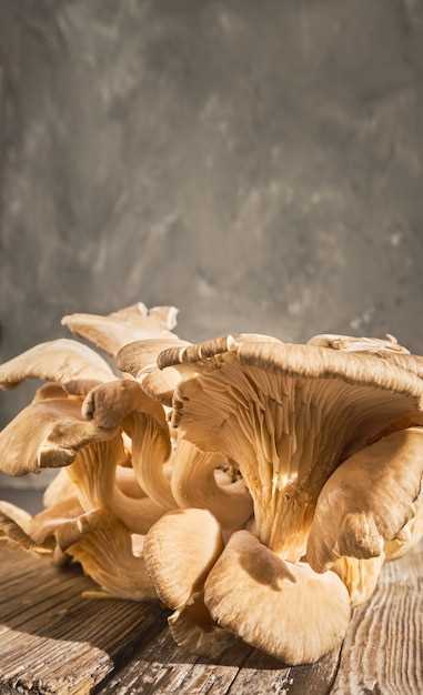 Signification des champignons chanterelles en rêve selon la couleur