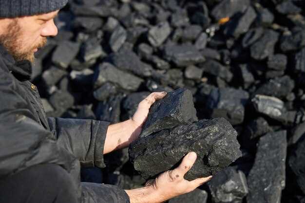L'origine du charbon et sa formation géologique