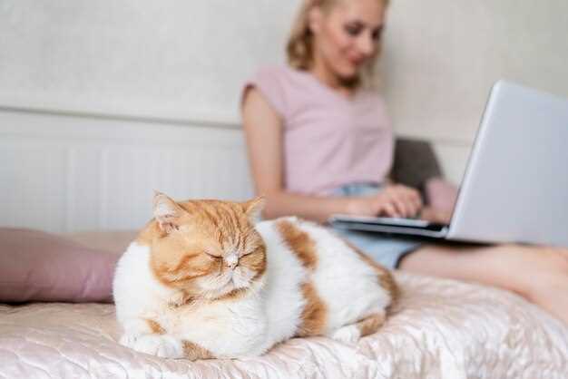 Le symbolisme du chat rose en rêve