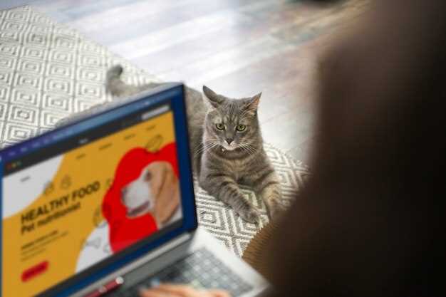 Interprétation psychologique des chatons chauves en rêve