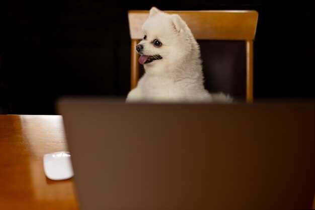 Le chiot blanc comme symbole de pureté