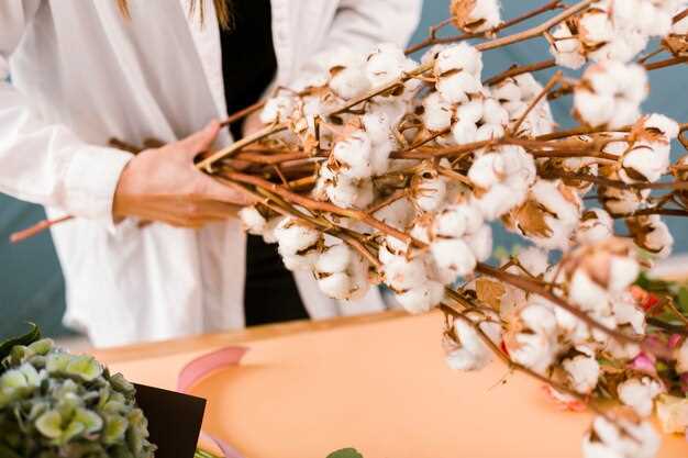 Les différentes significations du cotonnier en rêve