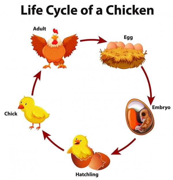 Conséquences pour le bien-être animal