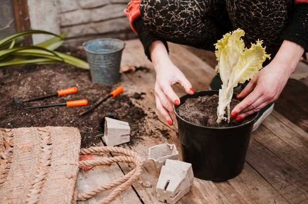 Interprétation psychologique du rêve de creuser avec une pelle dans le potager