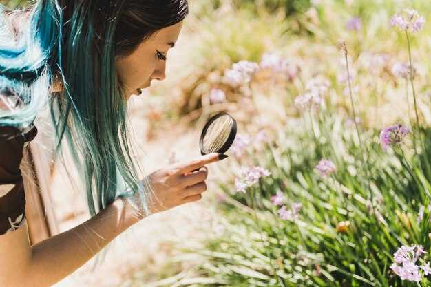 Les fleurs dans les bois : un symbole de liberté