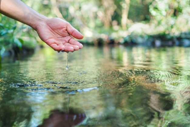 L'eau propre dans la rivière dans les rêves : un symbole d'harmonie et d'équilibre