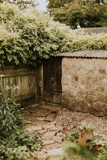 Symbolisme des toilettes de village qui débordent