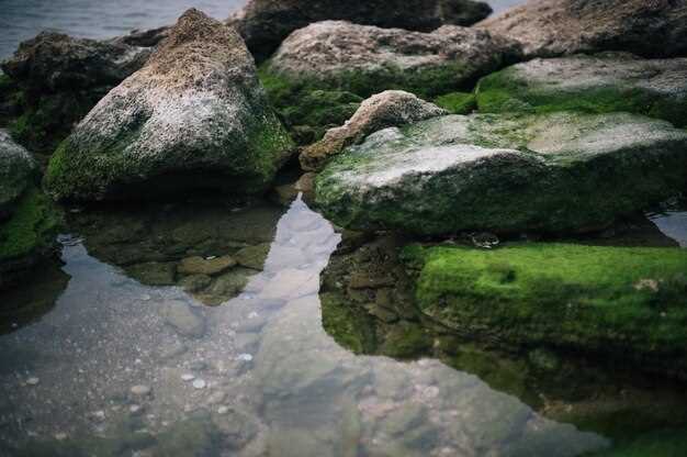 Les différentes interprétations de l'eau verte dans les rêves