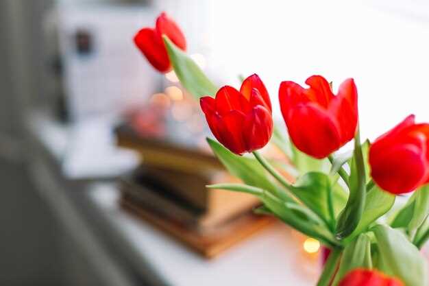 Le bouquet de tulipes : un message d'amour et de gratitude