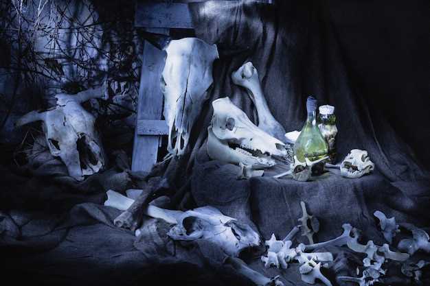 Signification des serpents morts dans les rêves