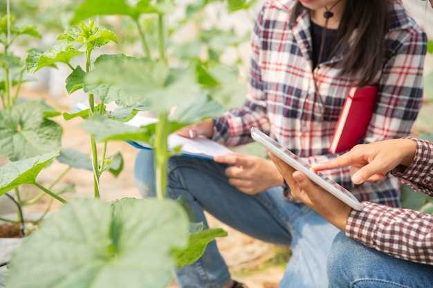 Les bienfaits de labourer le potager en rêve pour notre équilibre mental