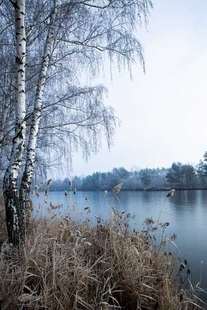 La tension entre la chaleur estivale et le froid glacial