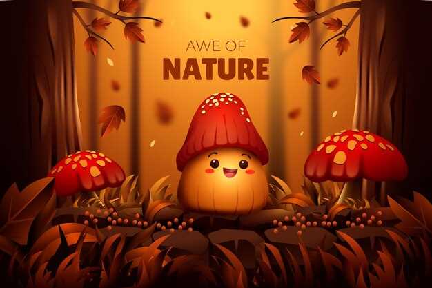 undefinedConclusion</strong><noscript><img decoding=