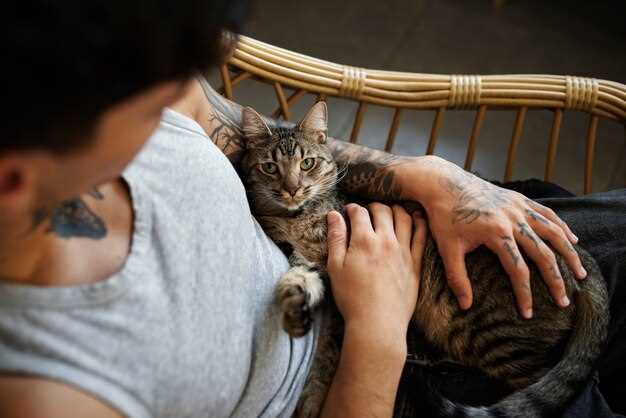 Les caractéristiques du chat