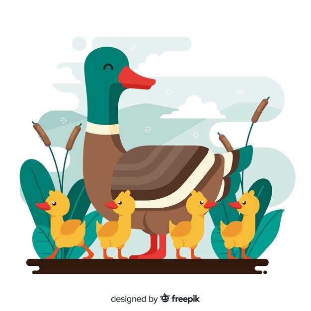 Le canard : un symbole de transition et d'adaptabilité