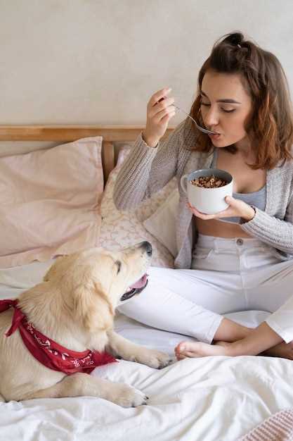 Le chien : symbole de loyauté