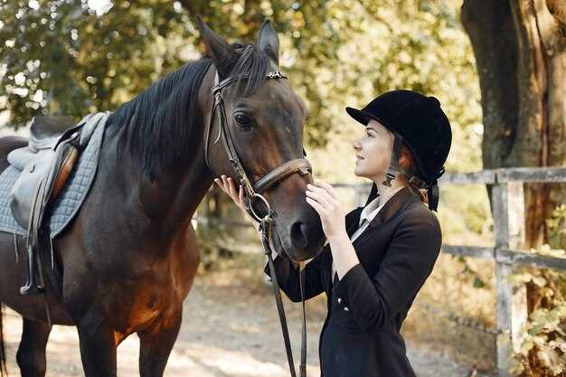 L'influence des émotions et de l'état psychologique sur les rêves des chevaux