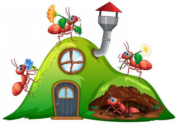 Comment faire face aux problèmes familiaux symbolisés par les fourmis