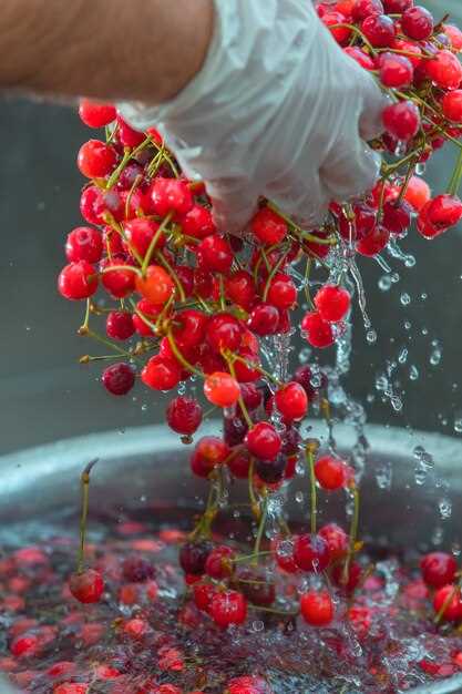 Les fraises dans les rêves : un rappel de l'enfance et de l'innocence