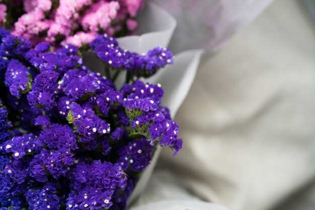 Le lilas en fleuristerie