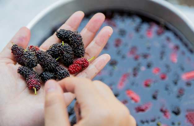 Les différentes interprétations du rêve de manger du caviar