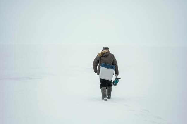 La banquise comme métaphore de notre environnement