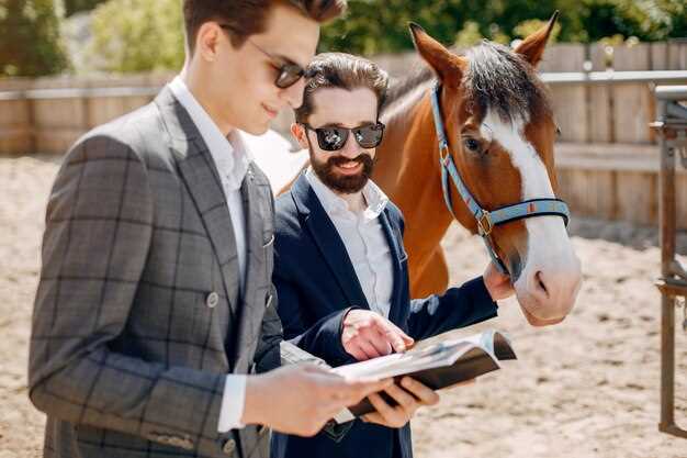 La communication entre le cavalier et le cheval