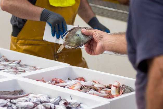 Interprétation du nettoyage du poisson cru en rêve