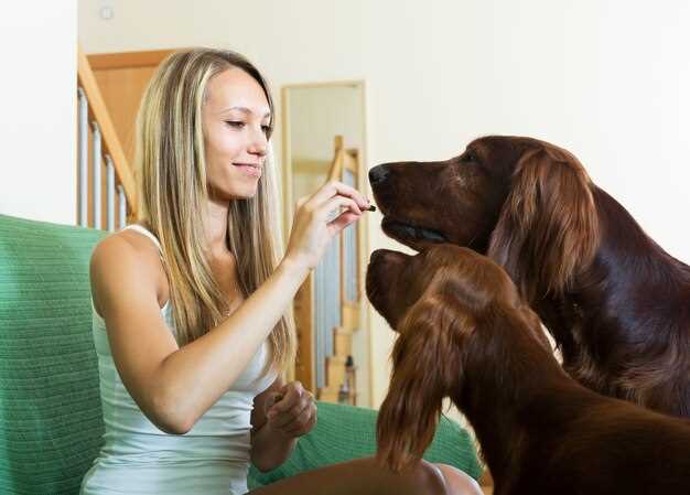 Nettoyer les excréments du chien en rêve