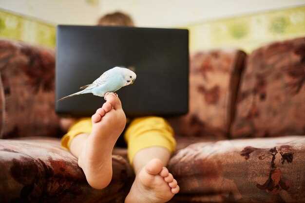 Les pigeons blancs comme représentation de la pureté et de l'innocence