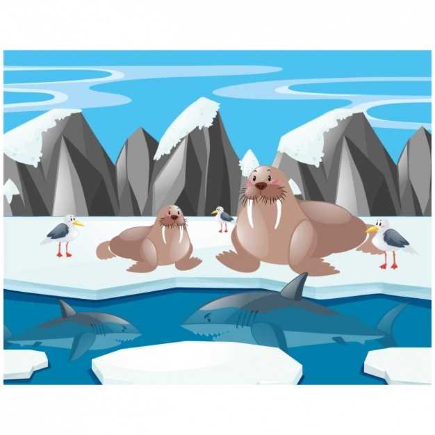 Le message de ce rêve