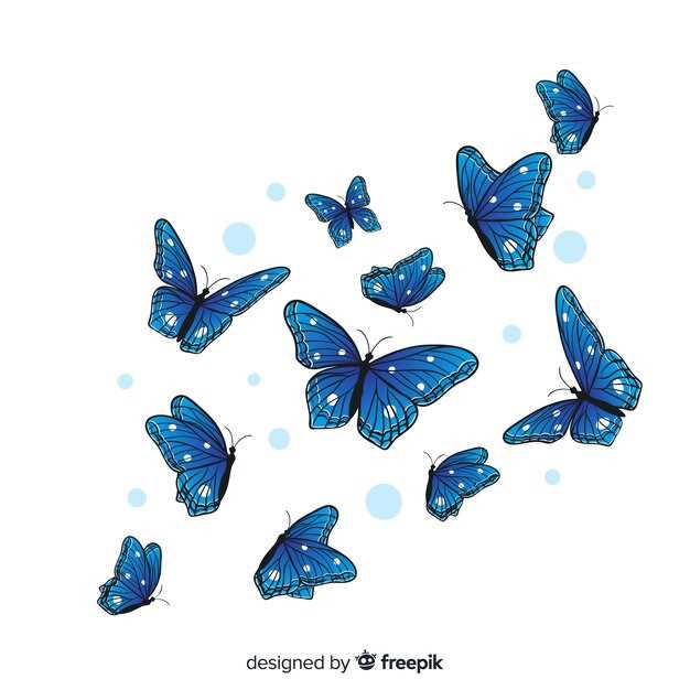 Différents types de papillons bleus